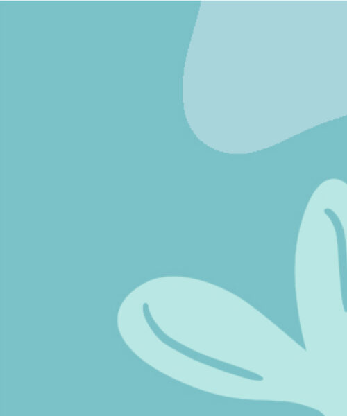 Living well through your perimenopause and menopause booklet