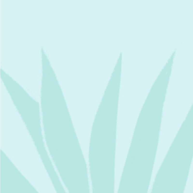 Managing Menopause as a New GP – Gregory Monk & Dr Louise Newson