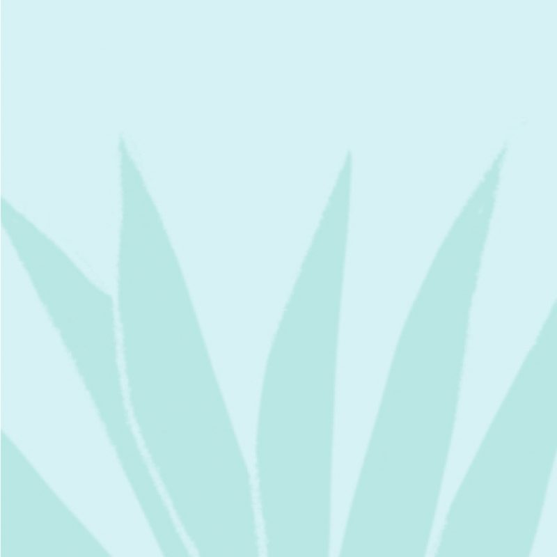 Gransnet & the Menopause – Cari Rosen & Dr Louise Newson